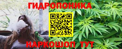 крисы Обнинск