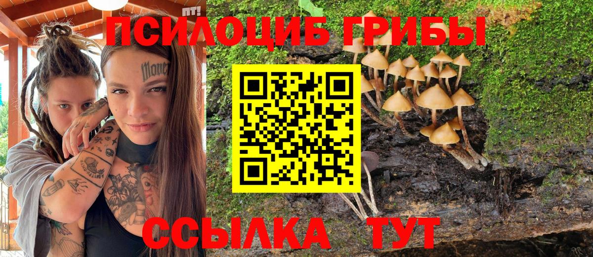 Севастополь  Галлюциногенные грибы мухоморы  Вход с VPN 